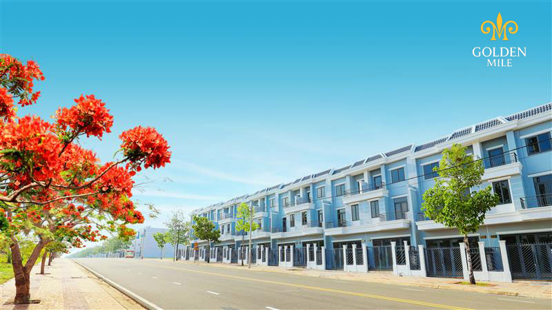 Con đường hoa rực rỡ giữa lòng thành phố trẻ Đồng Xoài